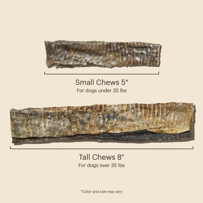 Ocean Cod Fish Chews