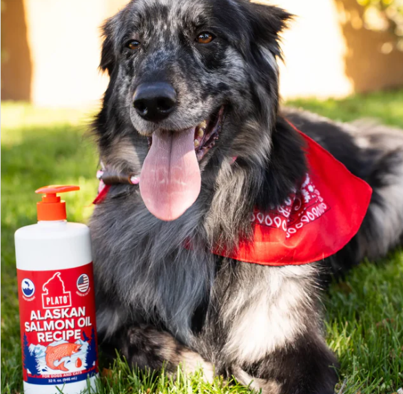 Plato - Alaskan Salmon Oil