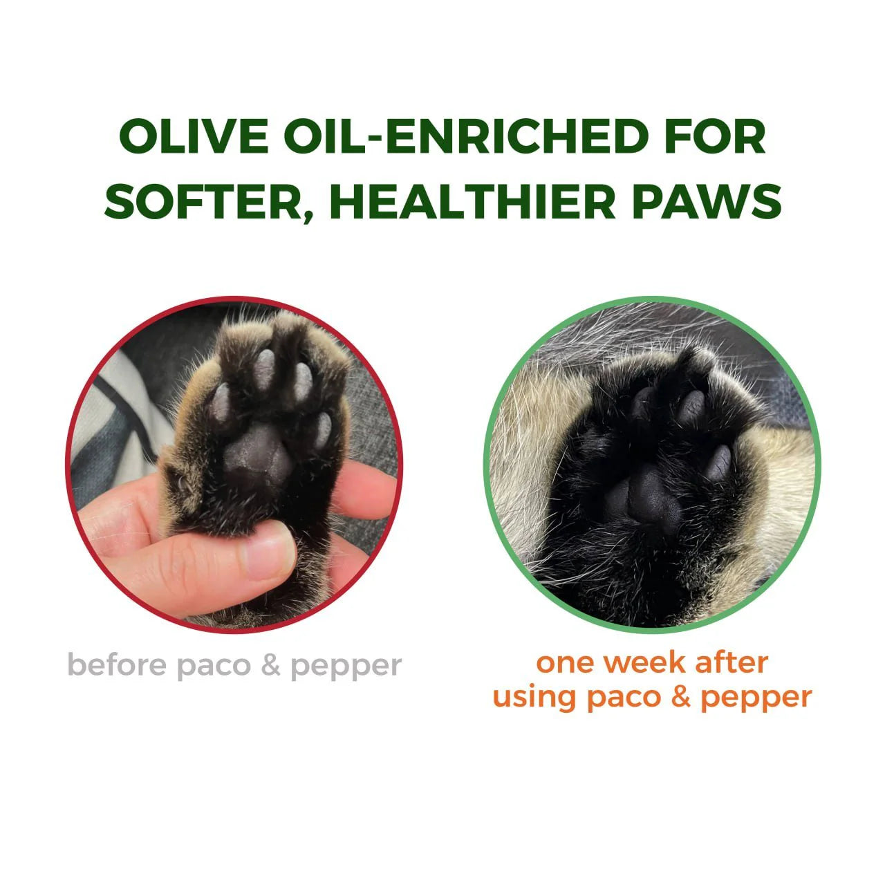 Paco & Pepper Olive Pit Litter : Charcoal