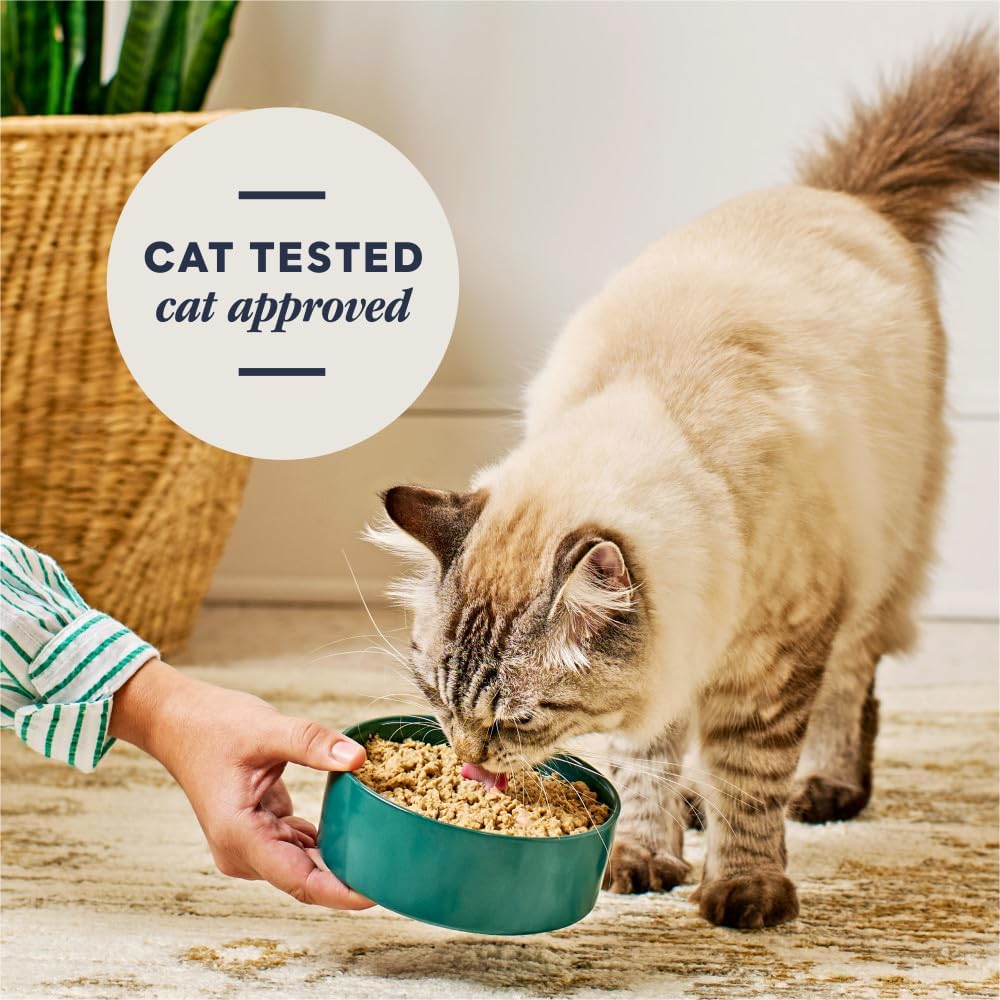 Instinct - FreshDried Pates Chicken for Cats 3oz