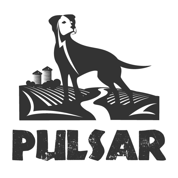 betrbowl, by Pet Planet