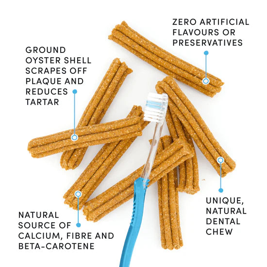 Crumps - Pumpkin Spice Plaque Busters BULK