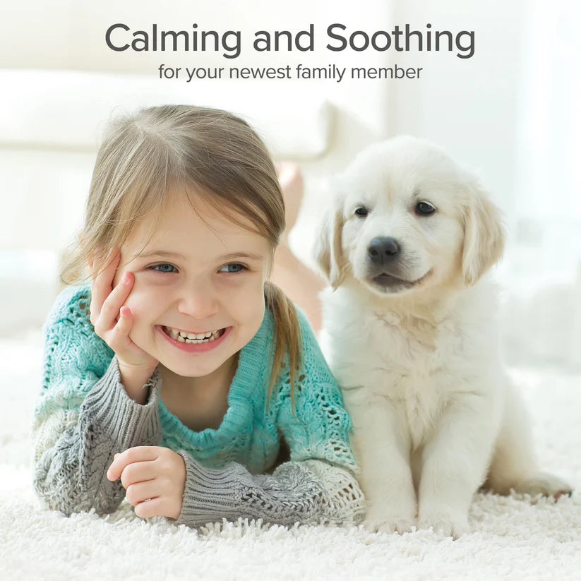 P&NP - Tearless & Calming Puppy Shampoo