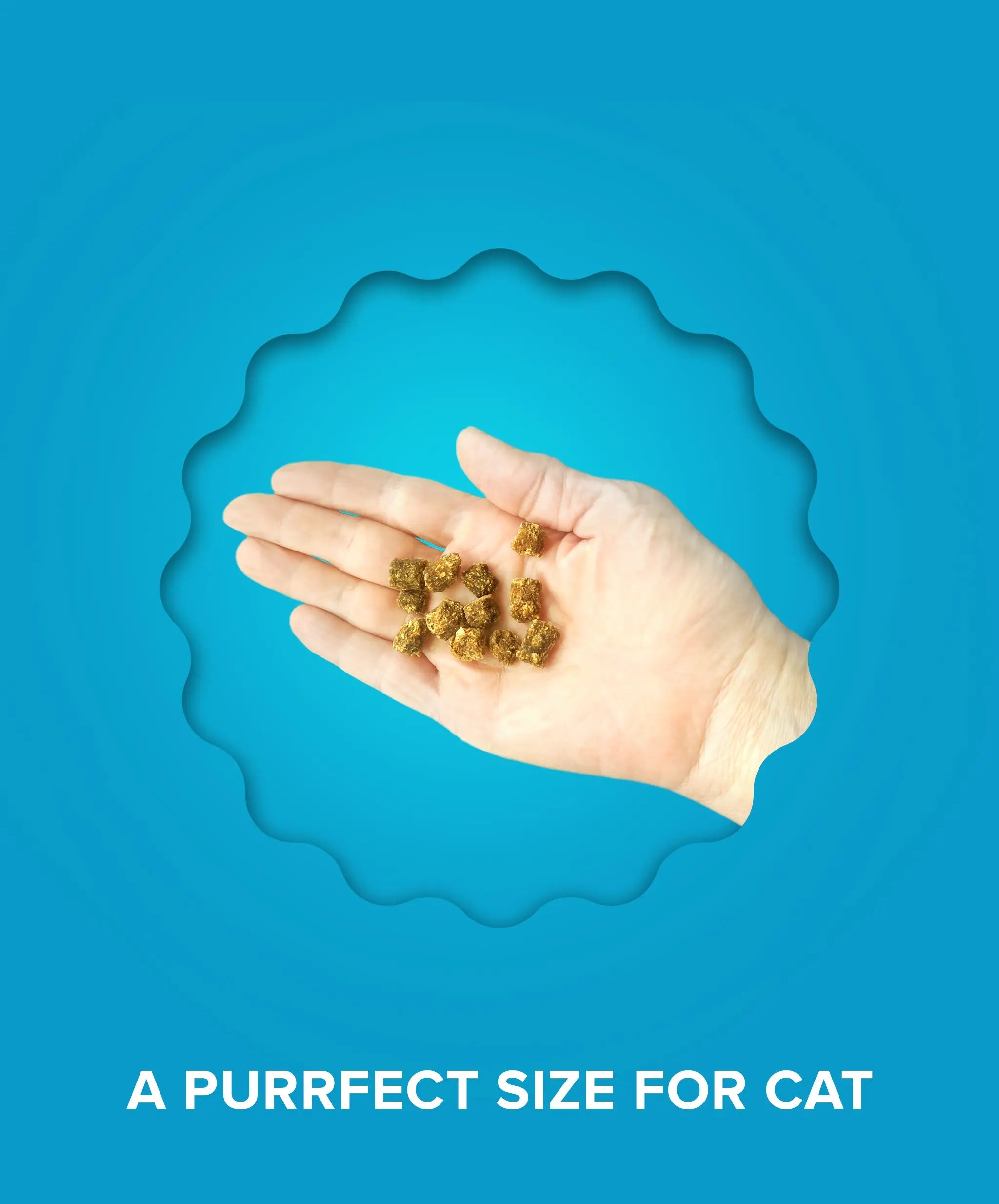 Plato Air Dried Tuna & Salmon Cat Treats