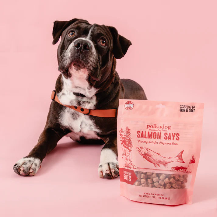 Polkadog Salmon Says (Bits) Mini Tube