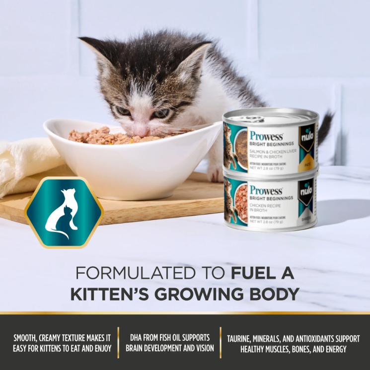 Nulo Prowess Bright Beginnings PatÃ© Salmon & Chicken Liver Recipe in Broth for Kittens 2.8 oz