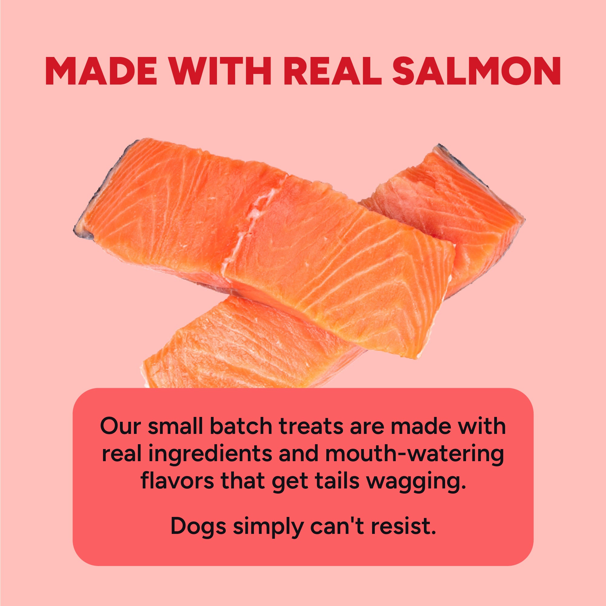 Dynamo Dog - Dog Skin & Coat Salmon