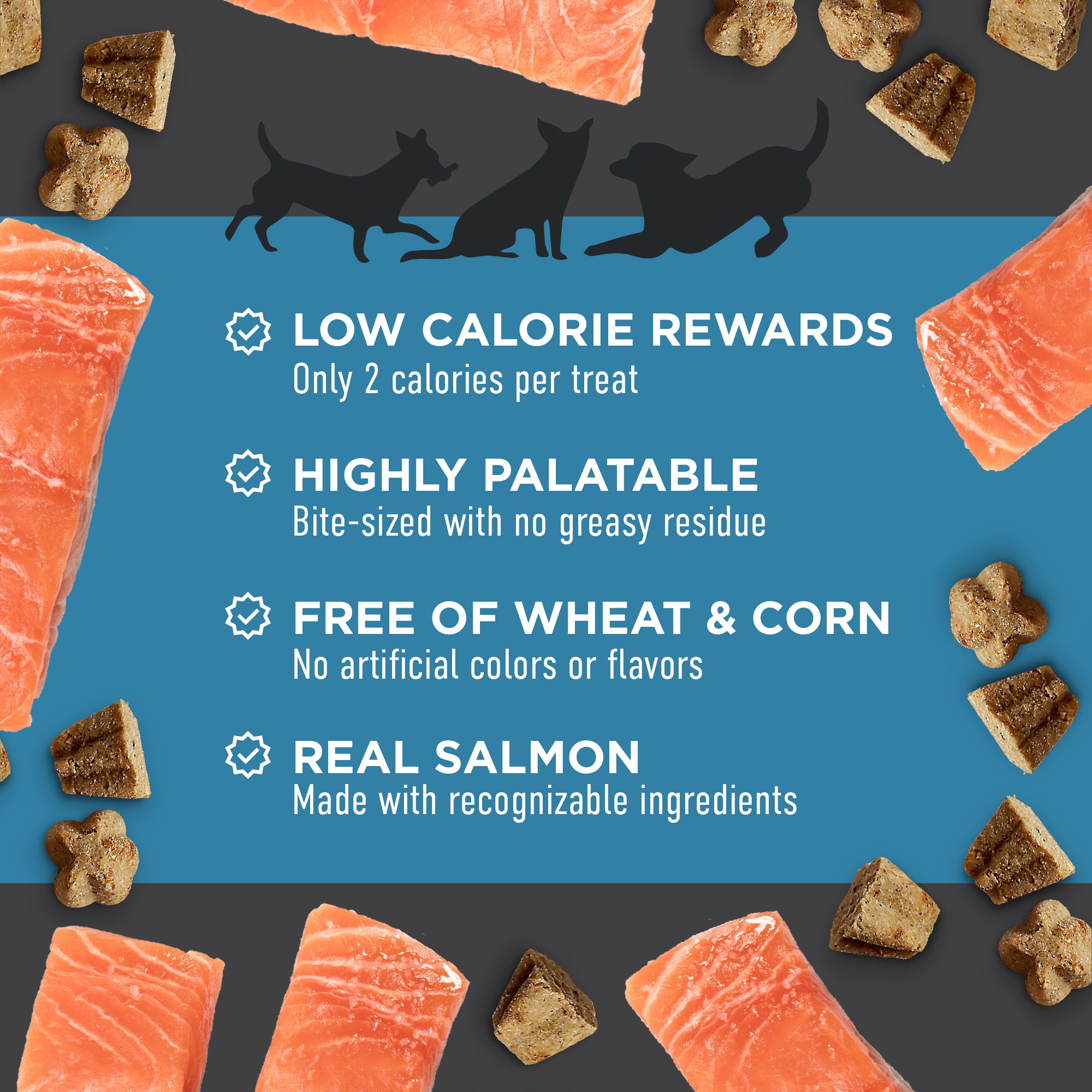 Tricky Trainer - Dog Crunchy Trainer Salmon