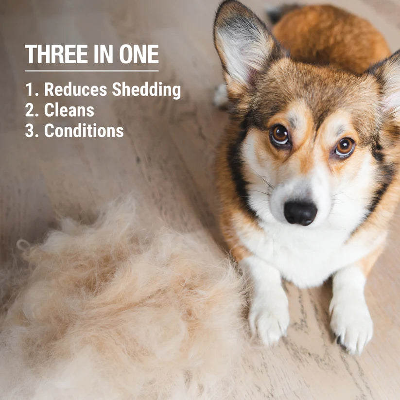 P&NP - Shed Control 3-IN-1 Shampoo & Conditioner