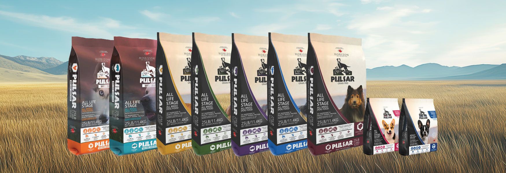 betrbowl, by Pet Planet