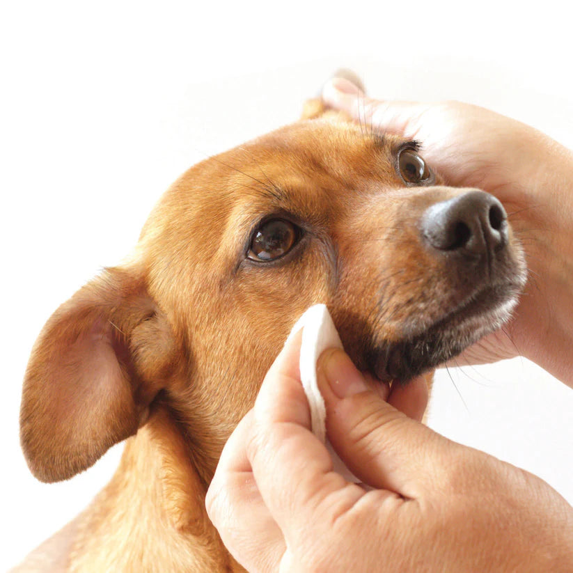 P&NP - Tear Stain Removing Under Eye Wipes
