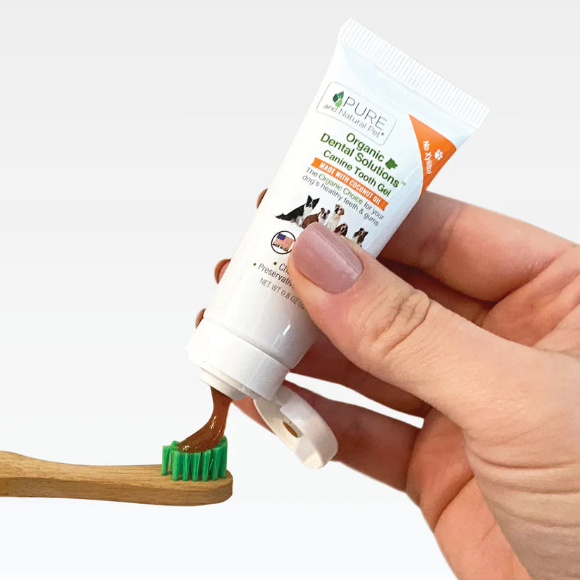 P&NP - Dental Kit: Brush & Tooth Gel
