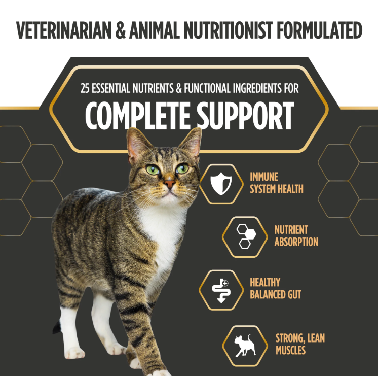 Nulo Prowess Sensitive Stomach Paté Chicken & Duck Recipe for Cats 2.8 oz