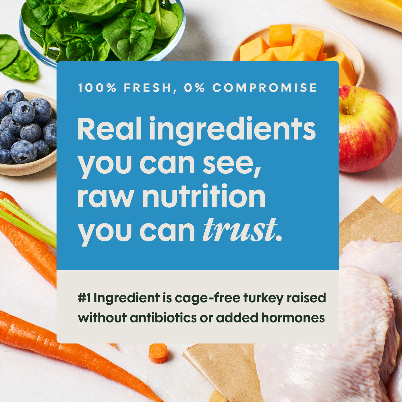 Instinct Fresh Raw Turkey