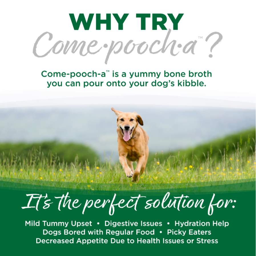 NutriSource Come-Pooch-A Turkey Broth 12oz