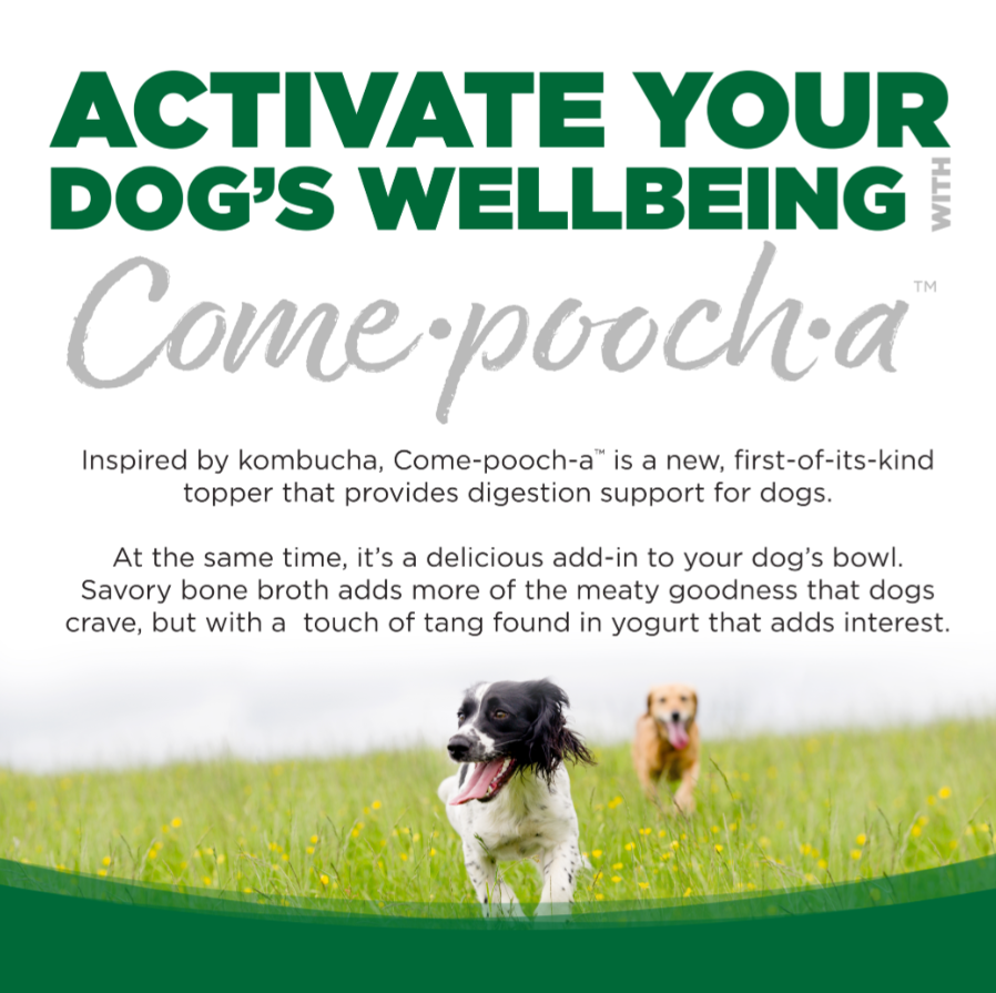 NutriSource Come-Pooch-A Beef Broth 12oz