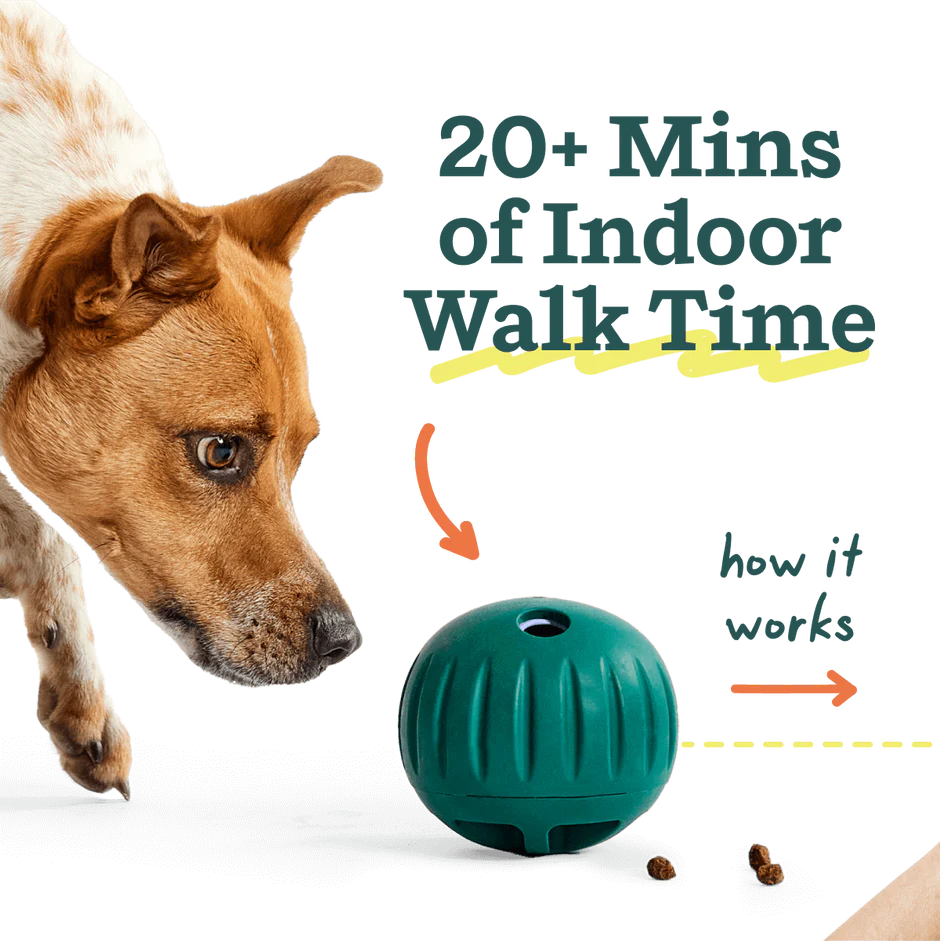 WOOF Walkabout Small