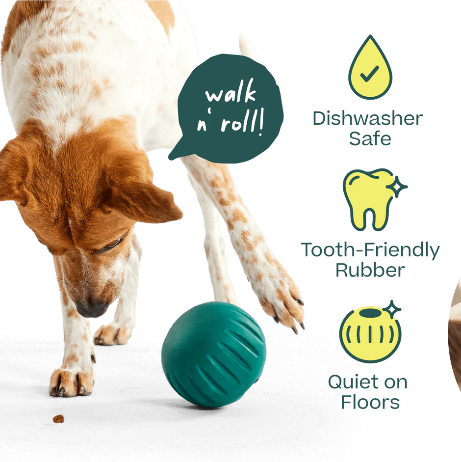 WOOF Walkabout Small