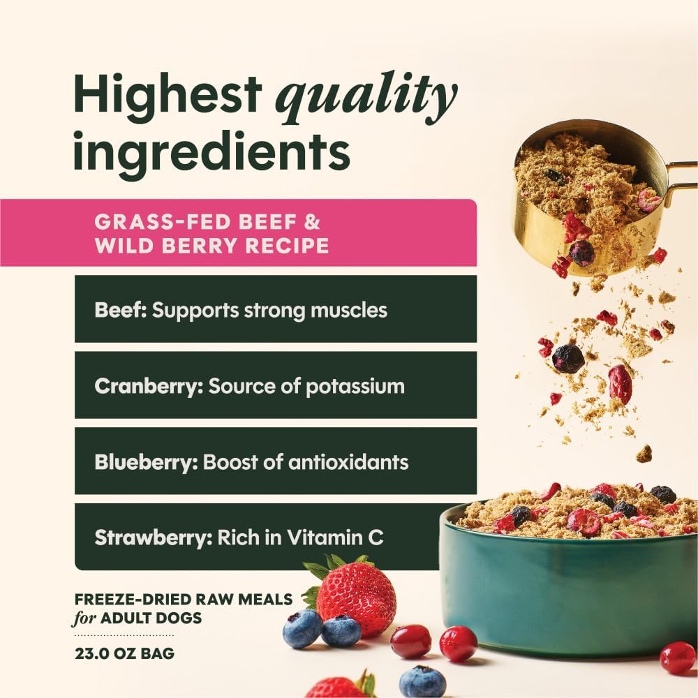 Instinct Fresh Raw Meals - Beef & Wildberries 3oz
