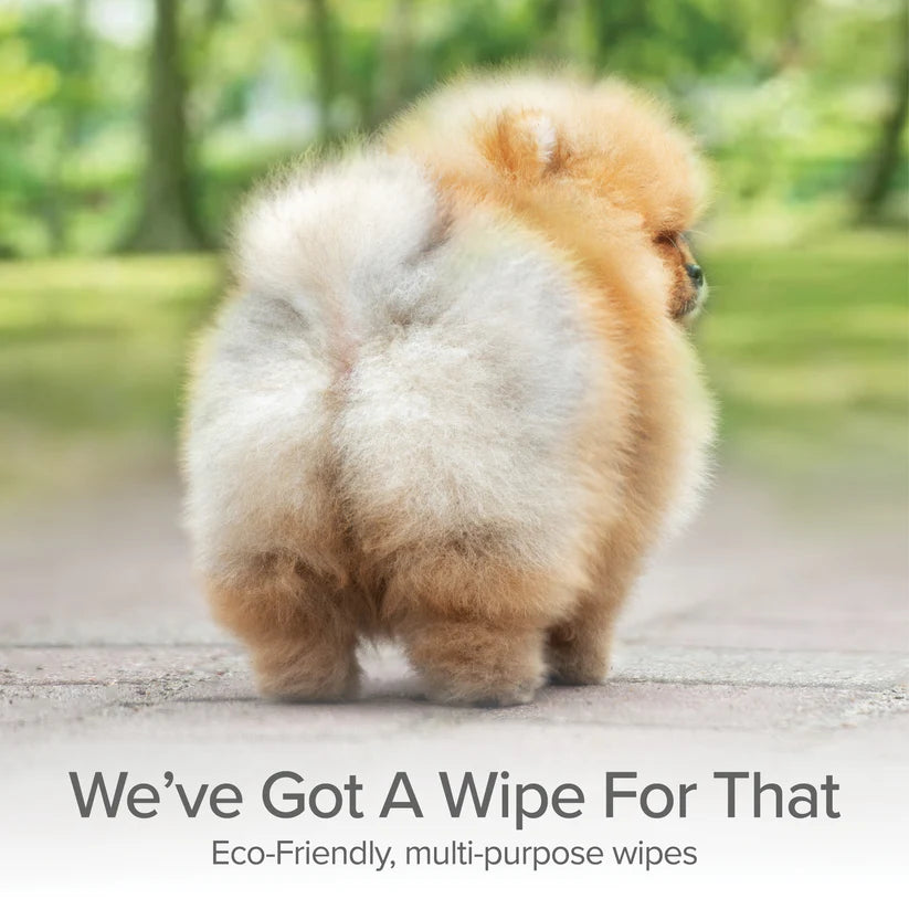 P&NP - Grooming & Cleansing Wipes Unscented 100ct