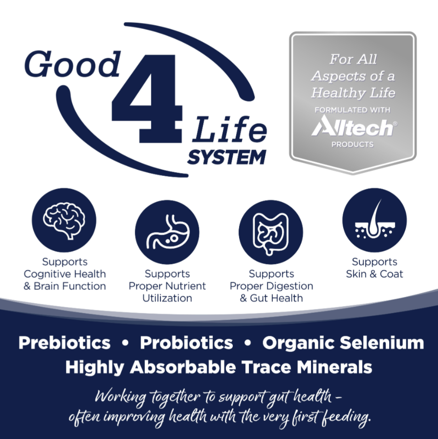 NutriSource Woodlands Select Grain-Free Dry Dog Food 26lb