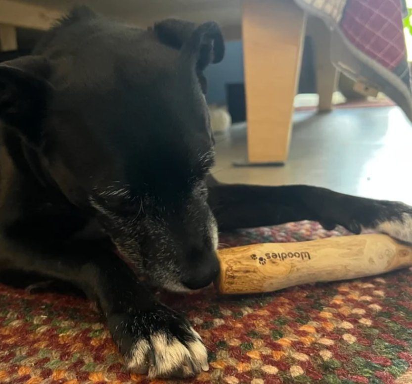 Woodies - Coffee Wood Dog Chews